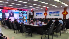维基体育(集团)体育运动有限公司官网