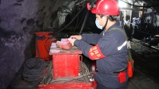 维基体育(集团)体育运动有限公司官网