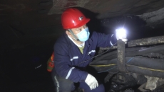 维基体育(集团)体育运动有限公司官网