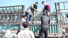 维基体育(集团)体育运动有限公司官网