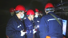 维基体育(集团)体育运动有限公司官网