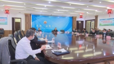 维基体育(集团)体育运动有限公司官网