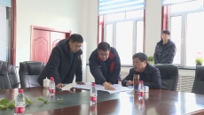 维基体育(集团)体育运动有限公司官网