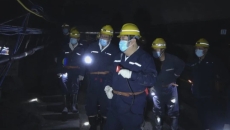 维基体育(集团)体育运动有限公司官网