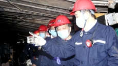 维基体育(集团)体育运动有限公司官网