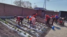 维基体育(集团)体育运动有限公司官网