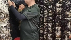 维基体育(集团)体育运动有限公司官网