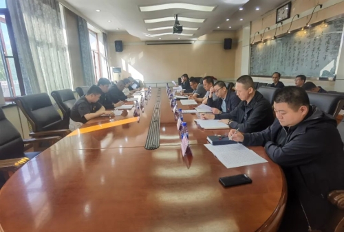 集团公司专项整治监督检查组到我公司督导检查