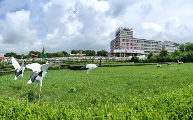 维基体育(集团)体育运动有限公司官网