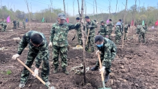 维基体育(集团)体育运动有限公司官网