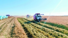 维基体育(集团)体育运动有限公司官网