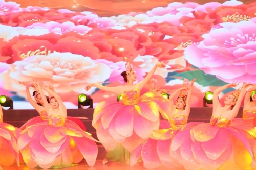 微信图片_20241028144957