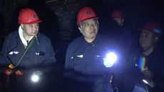 维基体育(集团)体育运动有限公司官网